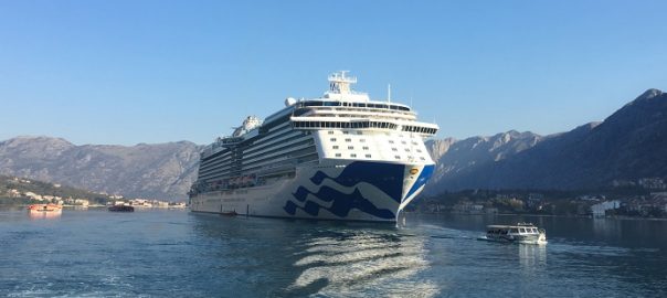 Majestic Princess email